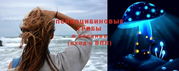 шишки Абаза