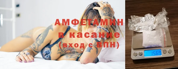 шишки Абаза