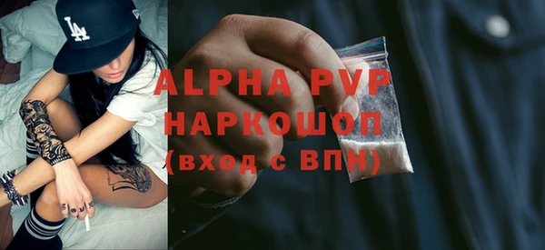шишки Абаза