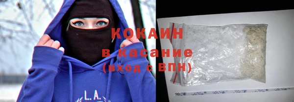 шишки Абаза