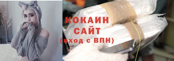 шишки Абаза