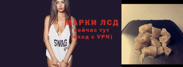 шишки Абаза