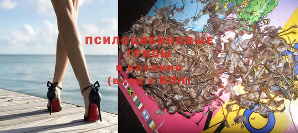 МДПВ Абдулино