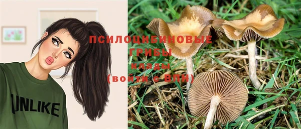 МДПВ Абдулино