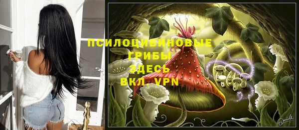 МДПВ Абдулино