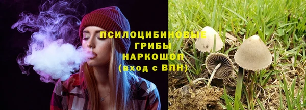 МДПВ Абдулино