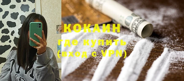 индика Абинск