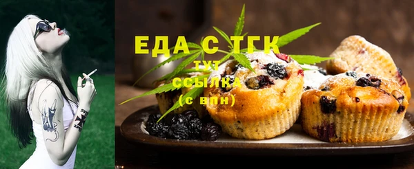 индика Абинск