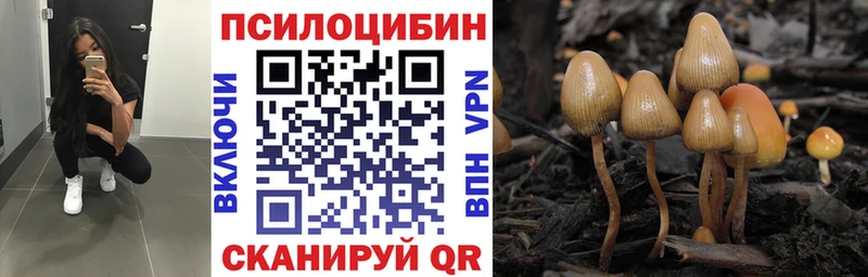 Псилоцибиновые грибы ЛСД  где продают наркотики  Татарск 